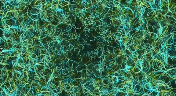 Photo by Buddha Elemental 3D on Unsplash