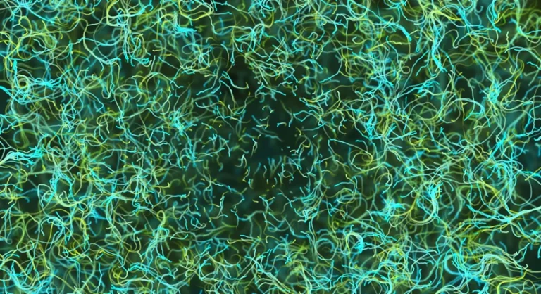 Photo by Buddha Elemental 3D on Unsplash