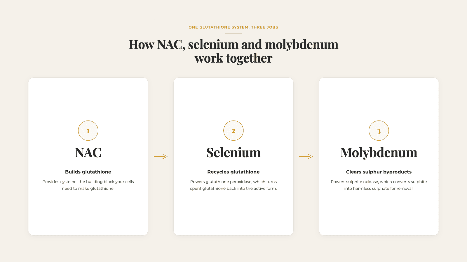 nac selenium molybdenum work together synergies 
