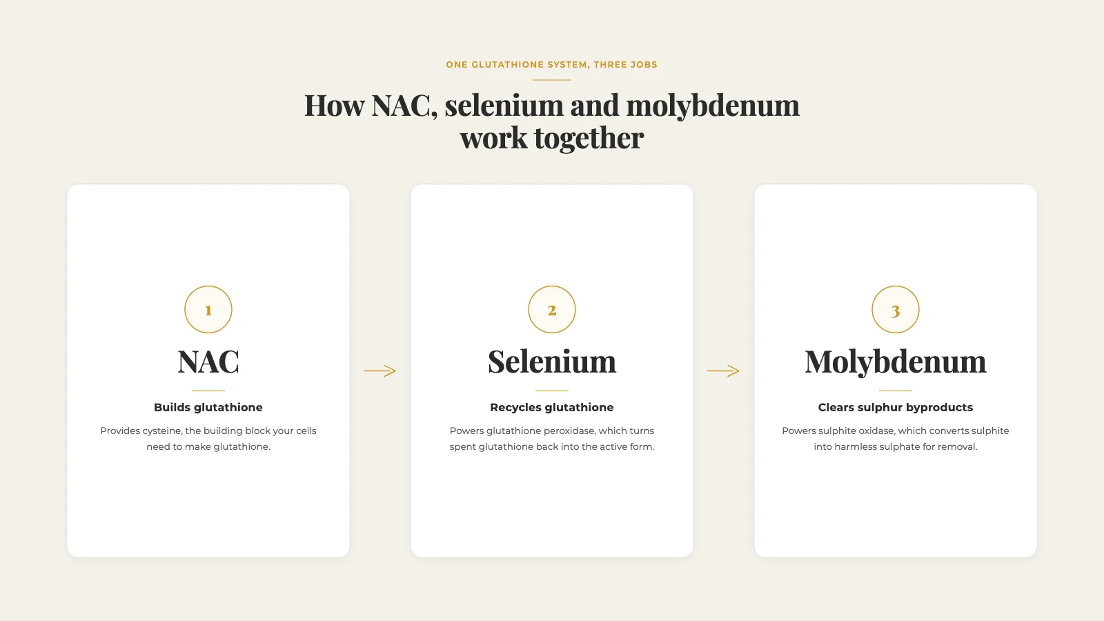 nac selenium molybdenum work together synergies