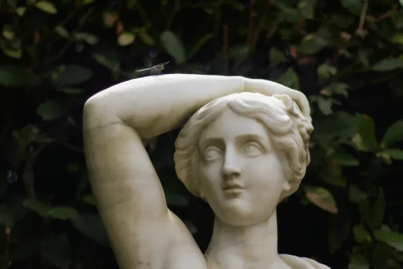 Photo by Botond Dobozi pexels 33343220