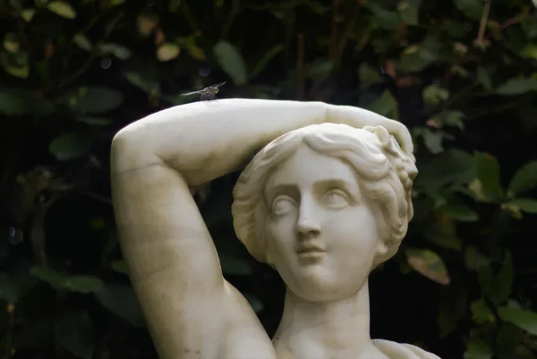 Photo by Botond Dobozi pexels 33343220